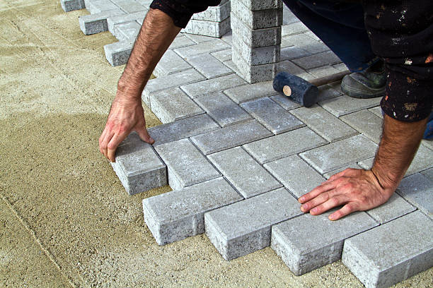 Best Local Driveway Pavers  in Westmere, NY